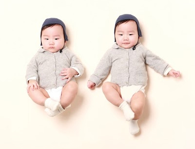 임신부터 육아까지, 쌍둥이 기초 성문법