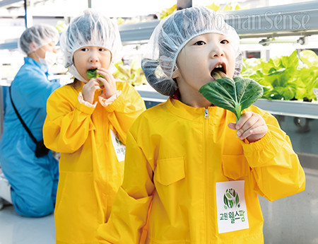 안전한 식물공장에서 건강하게 키운 무농약 건강 채소를 따서 먹는 아이들. 직접 따서 바로 먹어봄으로써 채소와 친숙해지는 시간을 가졌다.