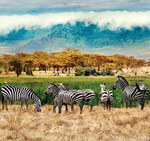 휴가를 떠나고 싶은 곳은 대자연을 느낄 수 있는 아프리카의 우간다. 